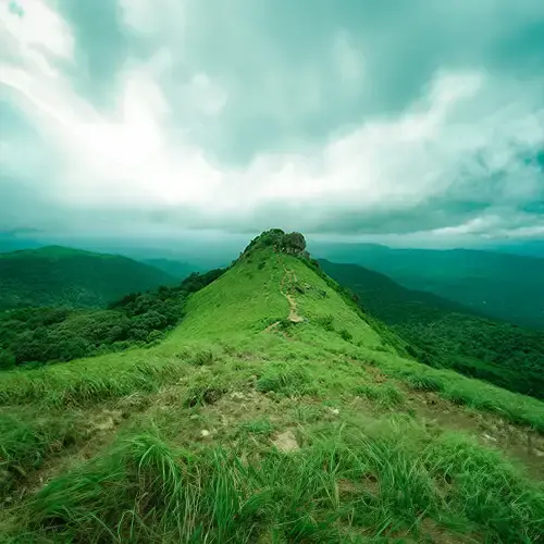 Master of Business Administration